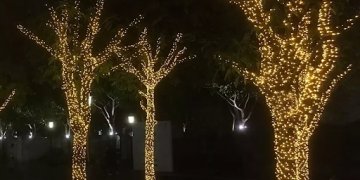 Bulk Christmas Lights